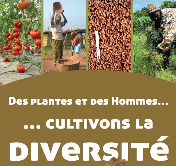 Photo Affiche